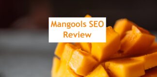 Mangools Review